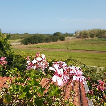 Villa Rosamarina Rosa Marina Exteriér fotografie