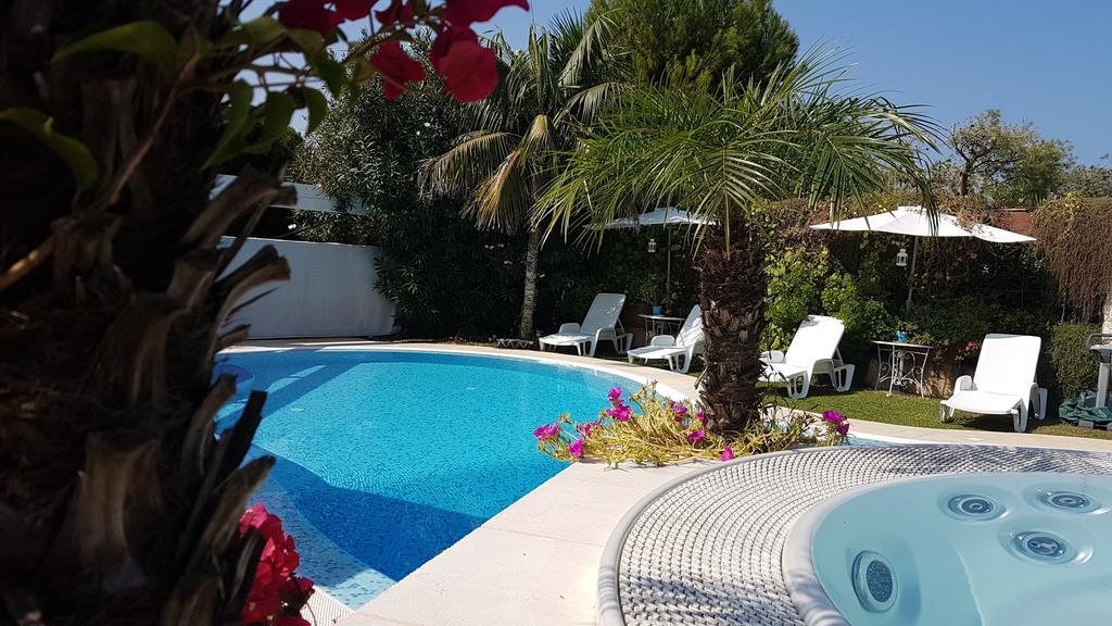 Villa Rosamarina Rosa Marina Exteriér fotografie