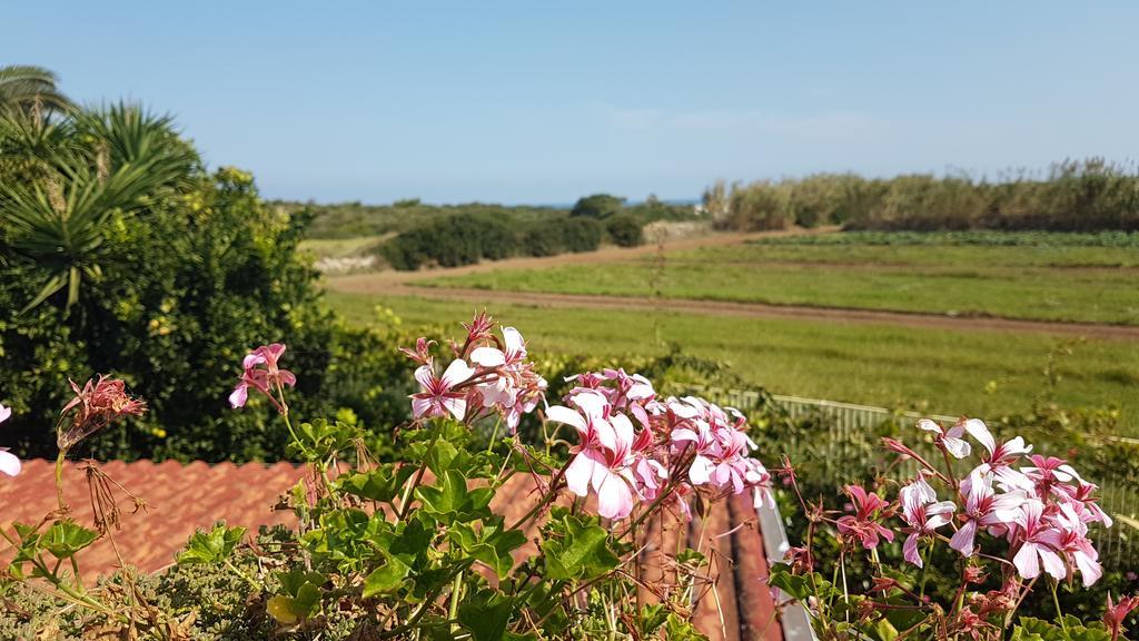 Villa Rosamarina Rosa Marina Exteriér fotografie